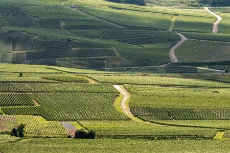 Čarovné Alsasko, Dijon, Colmar, Riquewihr, Strasborg, Beaune, Haut-Koenigsburg - 4