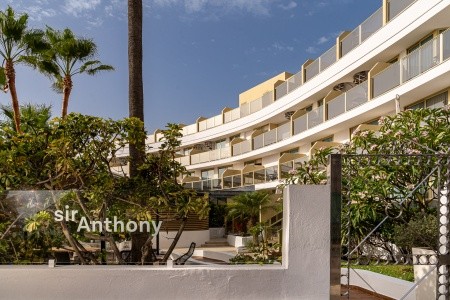 Sir Anthony - 3