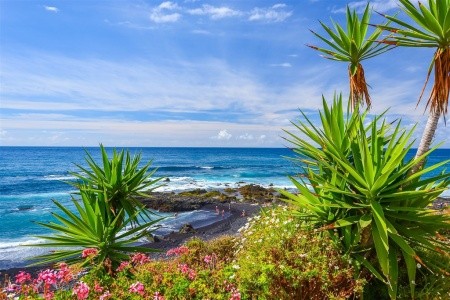 TENERIFE S VÝLETEM NA LA GOMERU – KANÁRSKÉ OSTROVY 2027 - 5