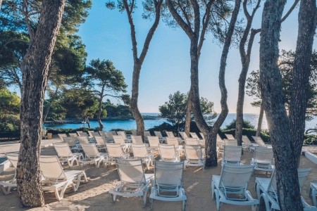 Iberostar Pinos Park - 5