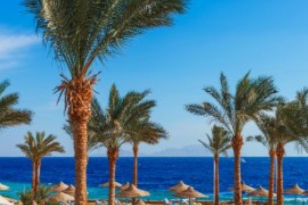 Egyiptom felkapott szállodái – 7 szuper hotel a Vörös-tenger partján