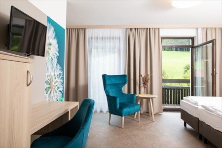 Optimamed Gesundheitsresort Salzerbad - 2