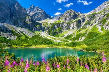 Vysoké Tatry vlakem – Tatranská Lomnica - 1