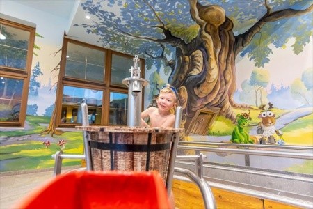 Activhotel Waldhof - 4