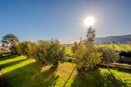 Hotiday Room Collection Sarzana - 5