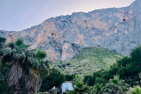 Araja Villa & Suite - 4