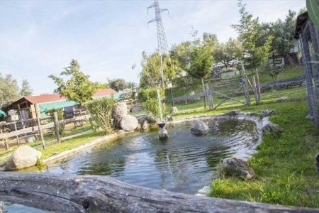 Agriturismo Fassi - 4