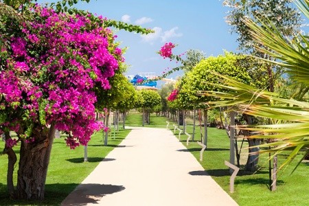 Noah's Ark Deluxe Hotel & Spa - 5