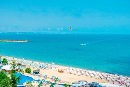 Palm Beach - 4