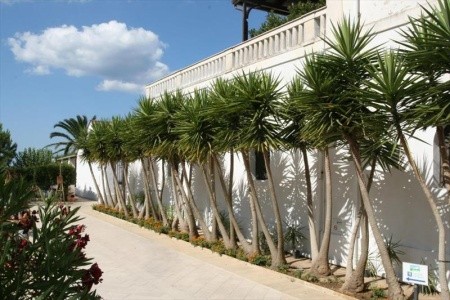 Tenuta Del Barco