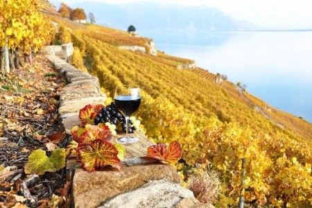 Vínna cesta po Toskánsku, Pisa, Elba, Florencia, Florencia let, Montepulciano, Pienza, San Gimignano, San Vicenzo, Volterra - 1