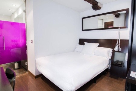 Petit Palace Arana (Bilbao) - 9