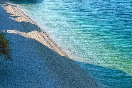 Apartmány 3298-1459 - 42