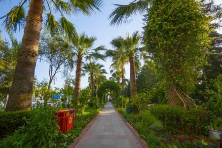 Calido Sol (Ex. Stella Beach) - 8