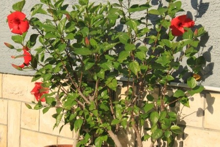 Apartmány 3298-1887 - 11