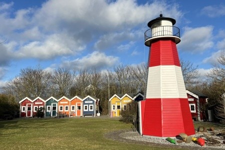 Nezapomenutelný zážitek s tuleni na ostrově Helgoland - 9