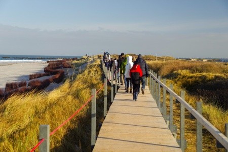 Nezapomenutelný zážitek s tuleni na ostrově Helgoland - 12
