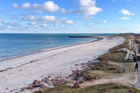 Nezapomenutelný zážitek s tuleni na ostrově Helgoland - 13