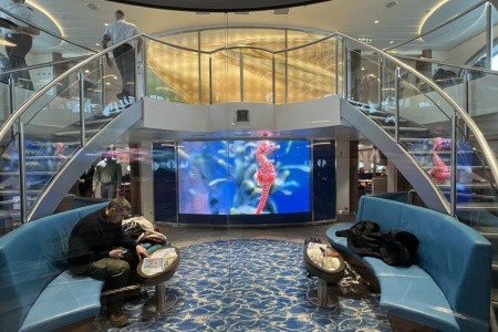 Nezapomenutelný zážitek s tuleni na ostrově Helgoland - 27