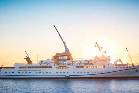 Nezapomenutelný zážitek s tuleni na ostrově Helgoland - 28