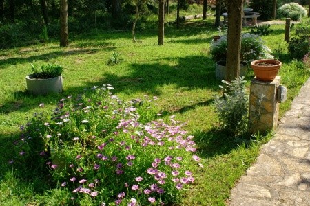 Apartmány 3298-674 - 9