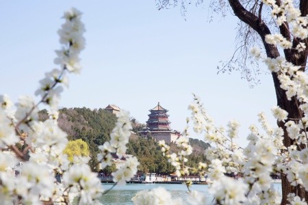 Valentýn v Pekingu - 3