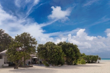 Cocoon Maldives - 41