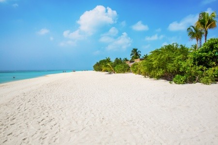 Cocoon Maldives - 61