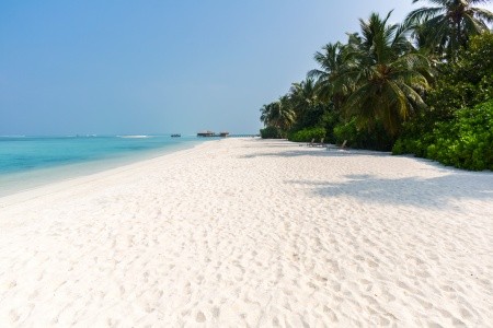 Cocoon Maldives - 62