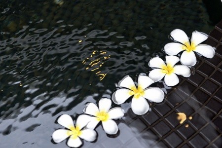 Cocoon Maldives - 65