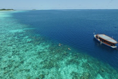 Cocoon Maldives - 71