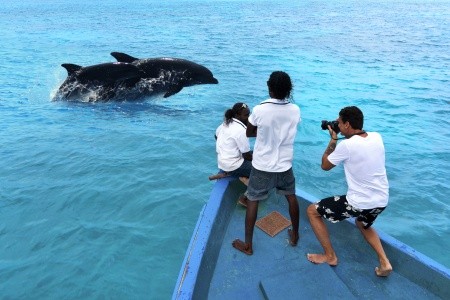 Cocoon Maldives - 81