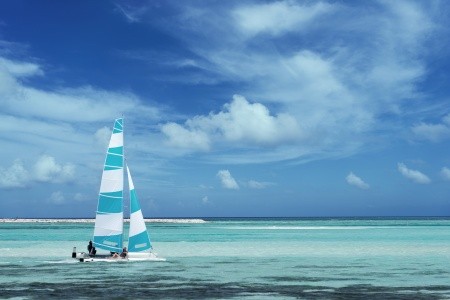 Cocoon Maldives - 84