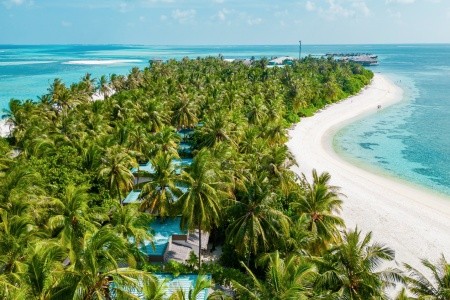 Cocoon Maldives - 91