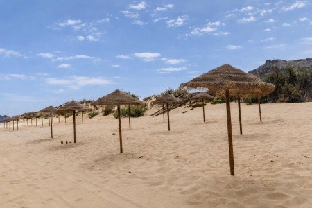 The Navigator Colombus - 11