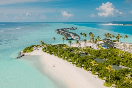 Joy Island - 8