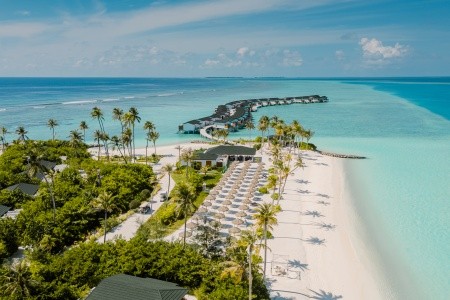 Joy Island - 9
