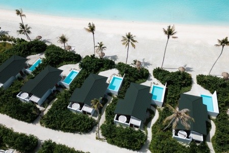 Joy Island - 19