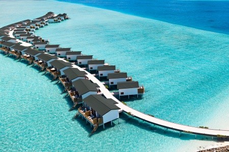 Joy Island - 30