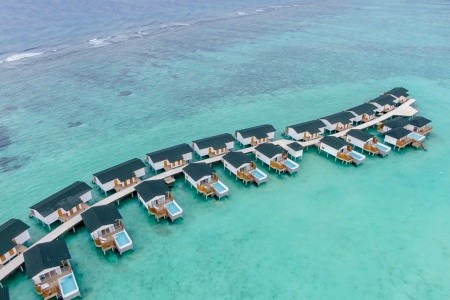 Joy Island - 38