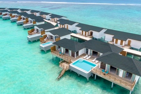 Joy Island - 50