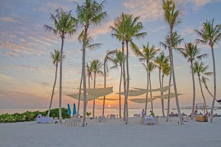 Joy Island - 60