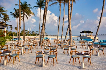 Joy Island - 65