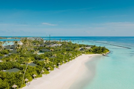 Joy Island - 73