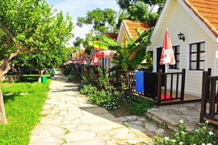 Clover Magic Nova Beach - 2