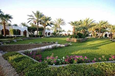 Regina Resort & Aqua Park (Ex. Zya Regina Resort) - 10