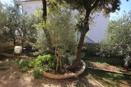 Apartmány 3298-2115 - 30