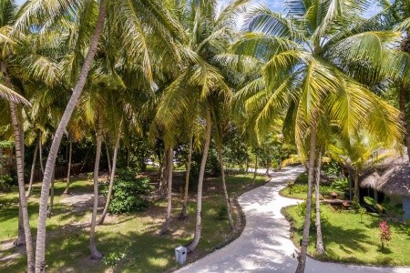 Furaveri Island Resort & Spa (Raa Atoll) - 89