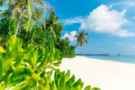 Jawakara Islands Maldives - 84
