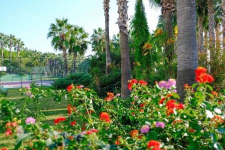 Royal Atlantis Beach - 14